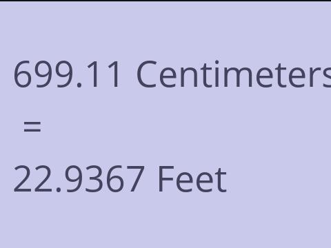 699.11 CM TO FEET