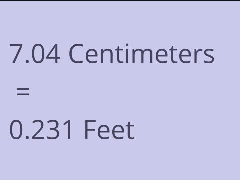 7.04 CM TO FEET