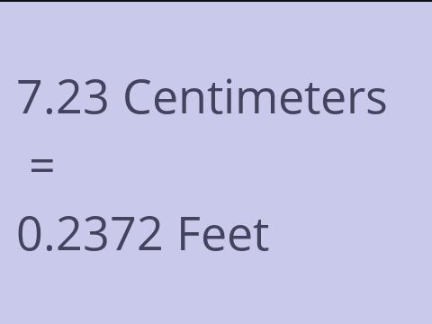 7.23 CM TO FEET