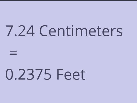 7.24 CM TO FEET