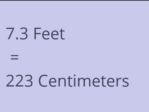 7.3 FEET TO CM