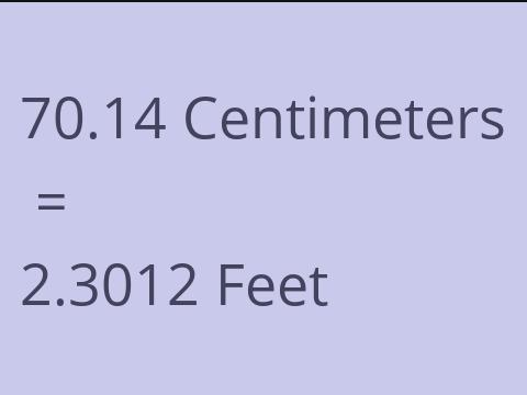 70.14 CM TO FEET