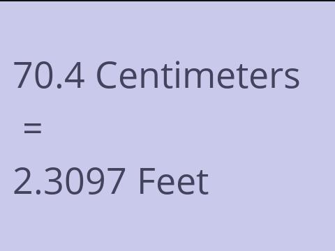 70.4 CM TO FEET