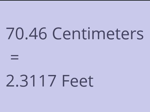 70.46 CM TO FEET