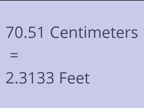 70.51 CM TO FEET