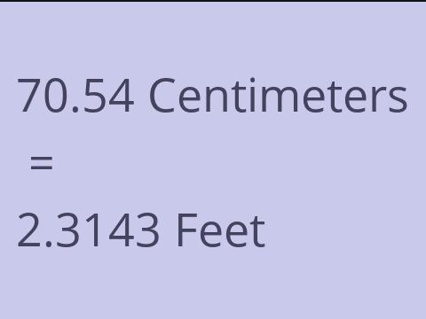 70.54 CM TO FEET