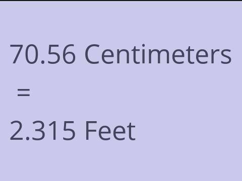 70.56 CM TO FEET