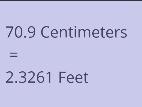 70.9 CM TO FEET