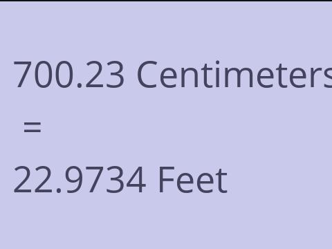 700.23 CM TO FEET