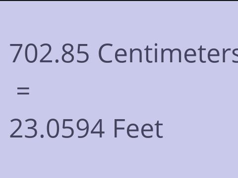 702.85 CM TO FEET