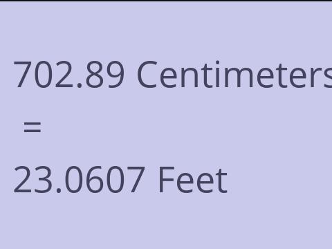 702.89 CM TO FEET