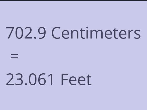 702.9 CM TO FEET