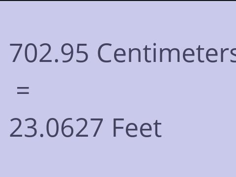 702.95 CM TO FEET