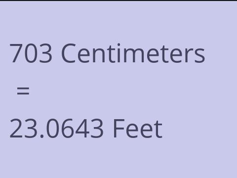 703 CM TO FEET