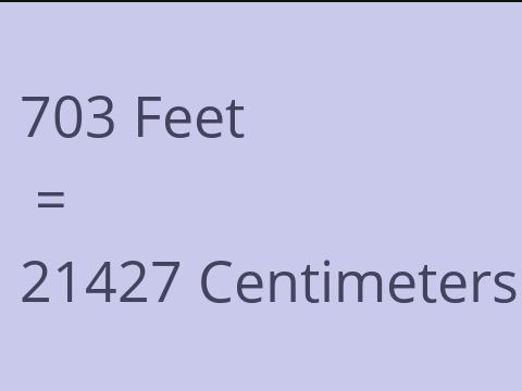 703 FEET TO CM