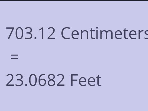 703.12 CM TO FEET