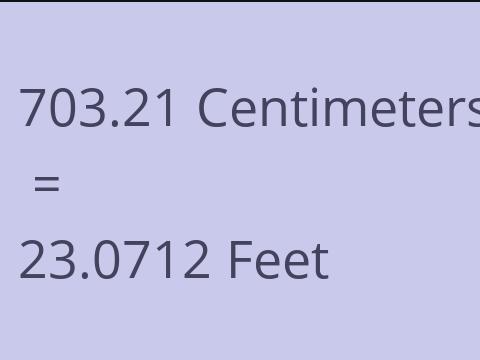 703.21 CM TO FEET