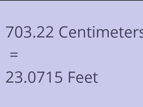 703.22 CM TO FEET