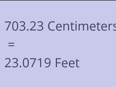 703.23 CM TO FEET