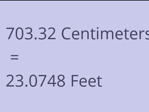 703.32 CM TO FEET