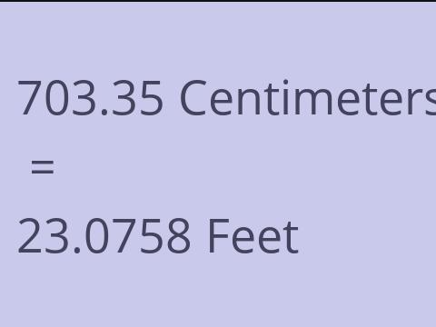 703.35 CM TO FEET