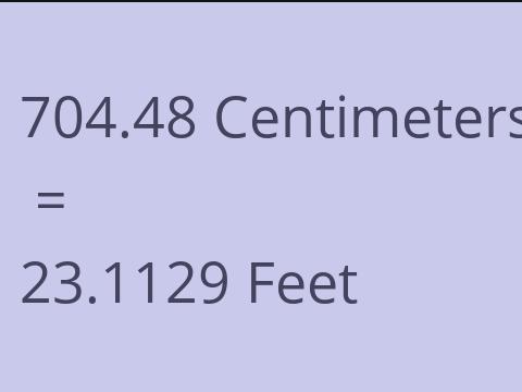 704.48 CM TO FEET