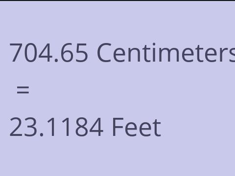 704.65 CM TO FEET