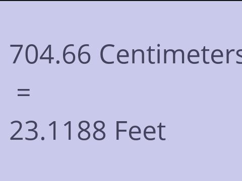 704.66 CM TO FEET