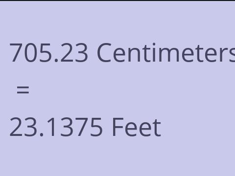 705.23 CM TO FEET