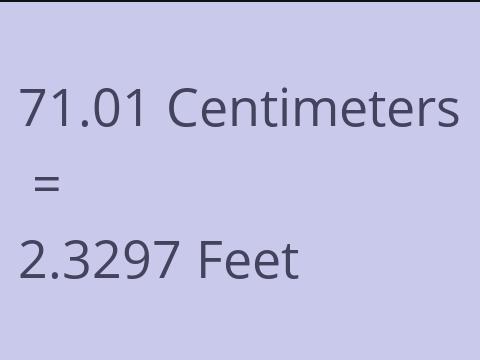 71.01 CM TO FEET