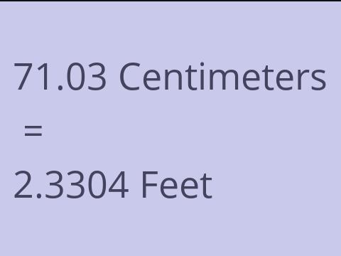 71.03 CM TO FEET