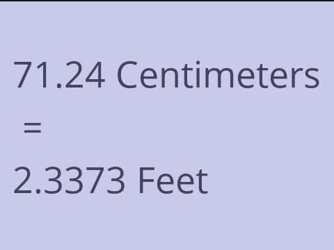 71.24 CM TO FEET