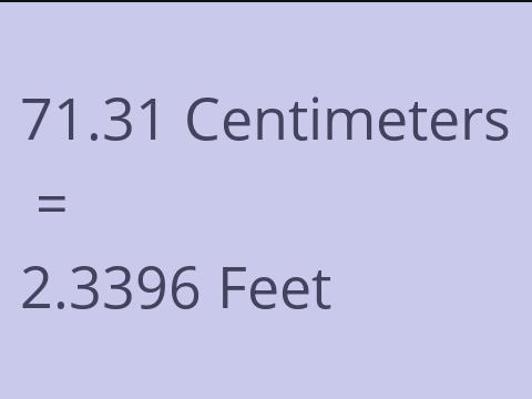 71.31 CM TO FEET