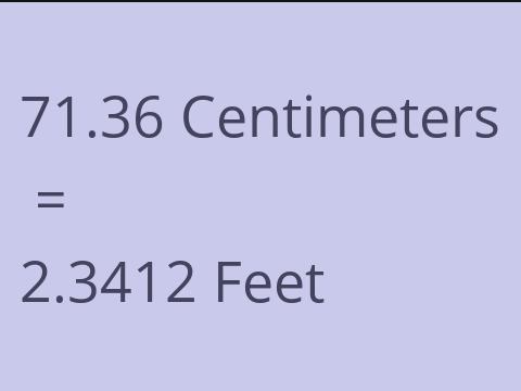 71.36 CM TO FEET