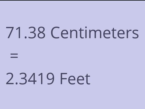 71.38 CM TO FEET