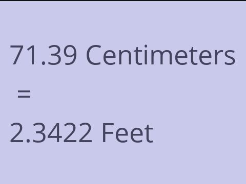 71.39 CM TO FEET