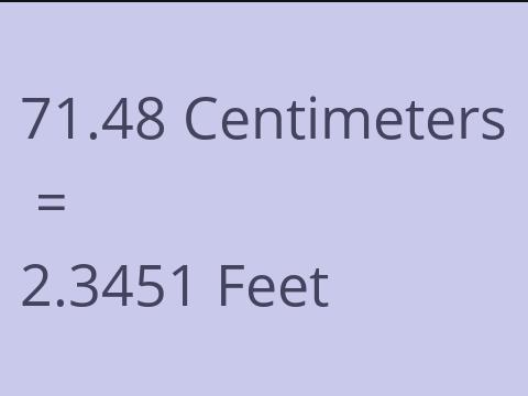 71.48 CM TO FEET