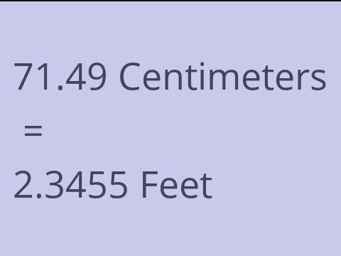 71.49 CM TO FEET