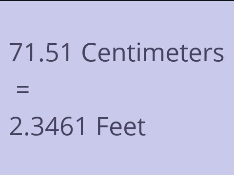 71.51 CM TO FEET