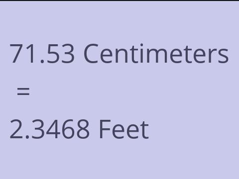 71.53 CM TO FEET