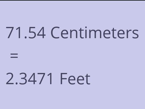 71.54 CM TO FEET