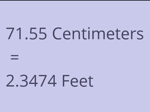 71.55 CM TO FEET