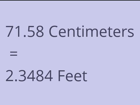 71.58 CM TO FEET