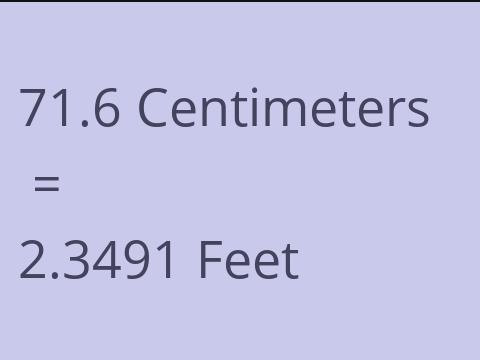 71.6 CM TO FEET