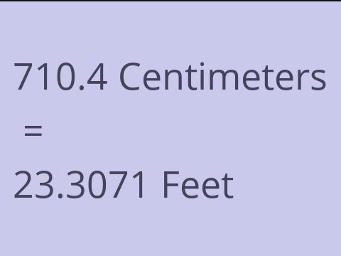 710.4 CM TO FEET