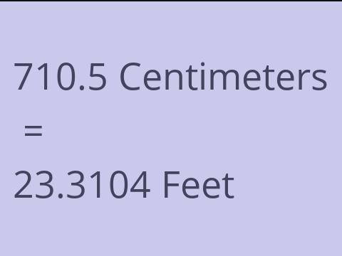 710.5 CM TO FEET