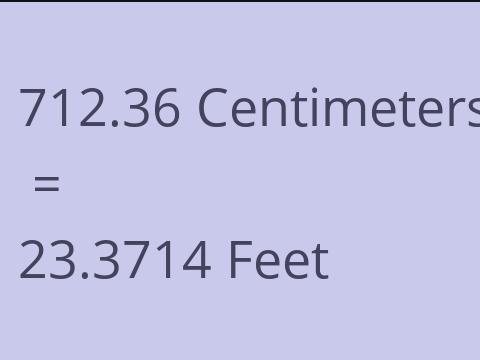 712.36 CM TO FEET