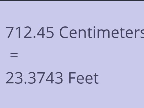 712.45 CM TO FEET