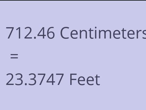 712.46 CM TO FEET