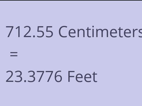 712.55 CM TO FEET